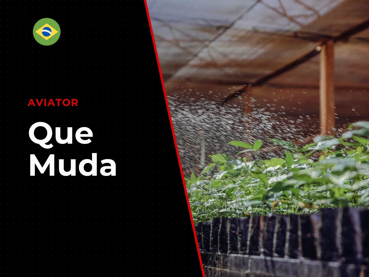 O que muda entre poker online